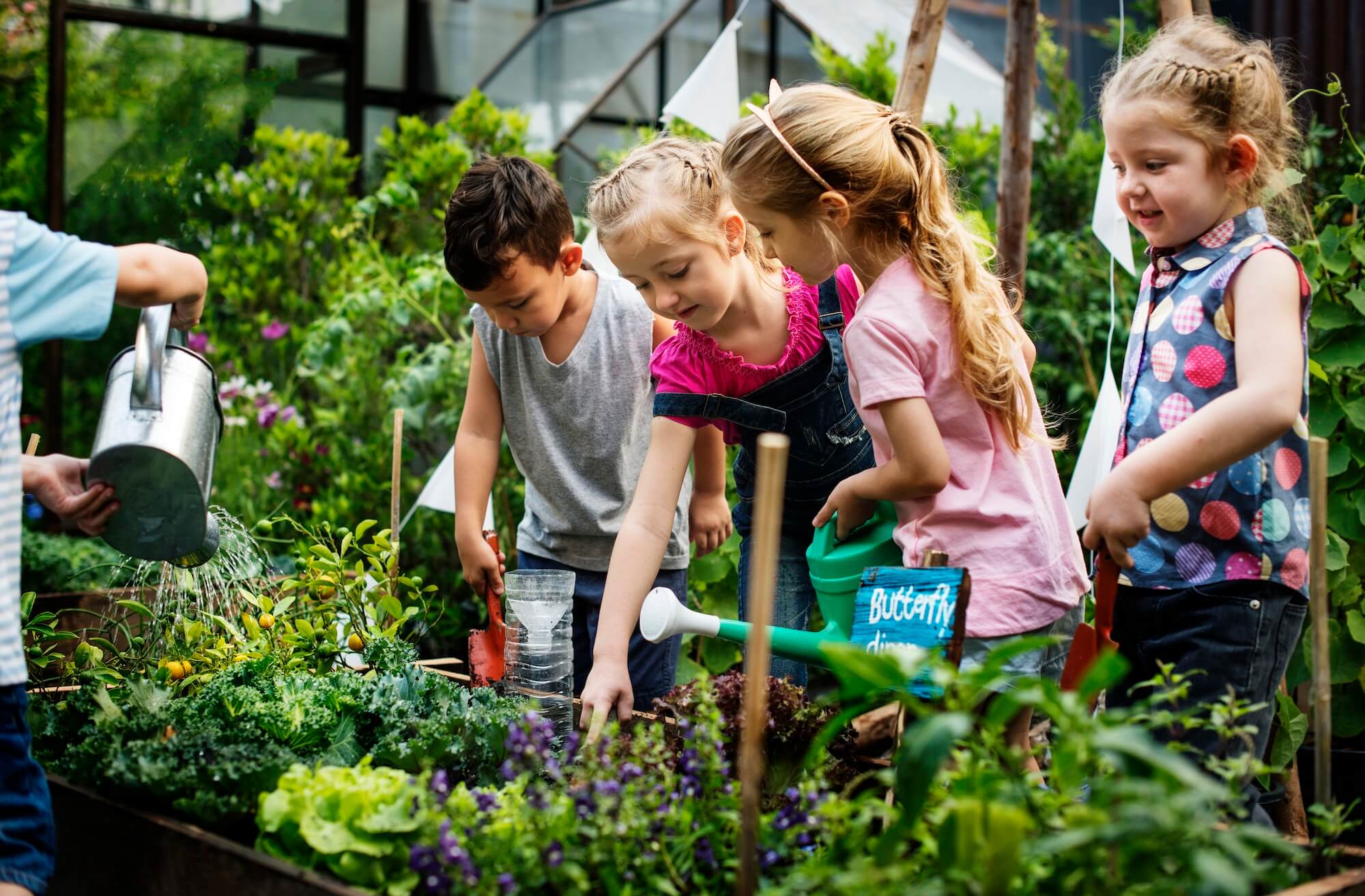 group-of-kindergarten-kids-learning-gardening-outdoors-1.jpg